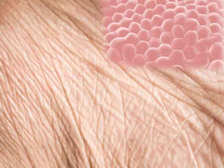 Ageing in human skin cells reversed by 30 years