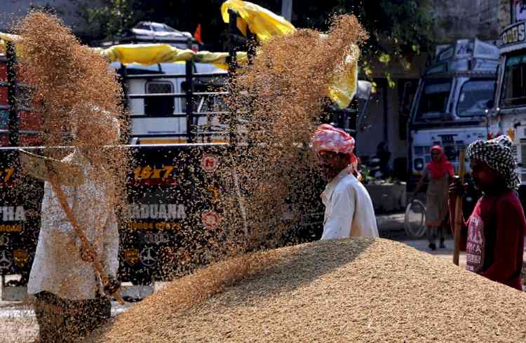 No end to politics over paddy in Telangana