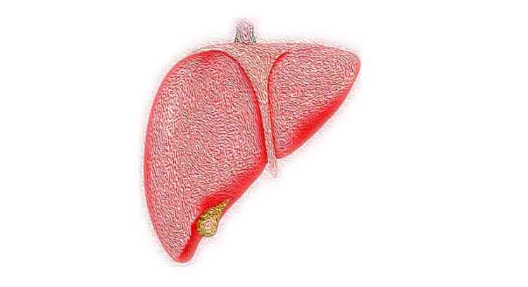 Fatty liver likely causing a surge in serious liver diseases in India