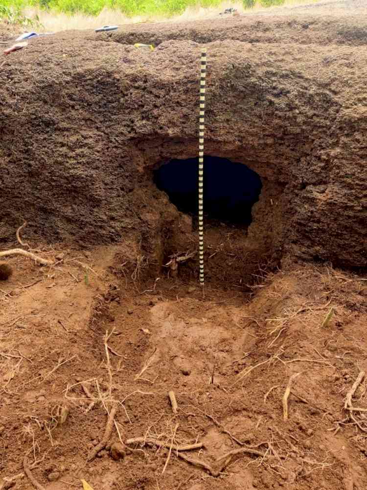 Unique megalithic burial site dating back to 800 BC found in K'taka