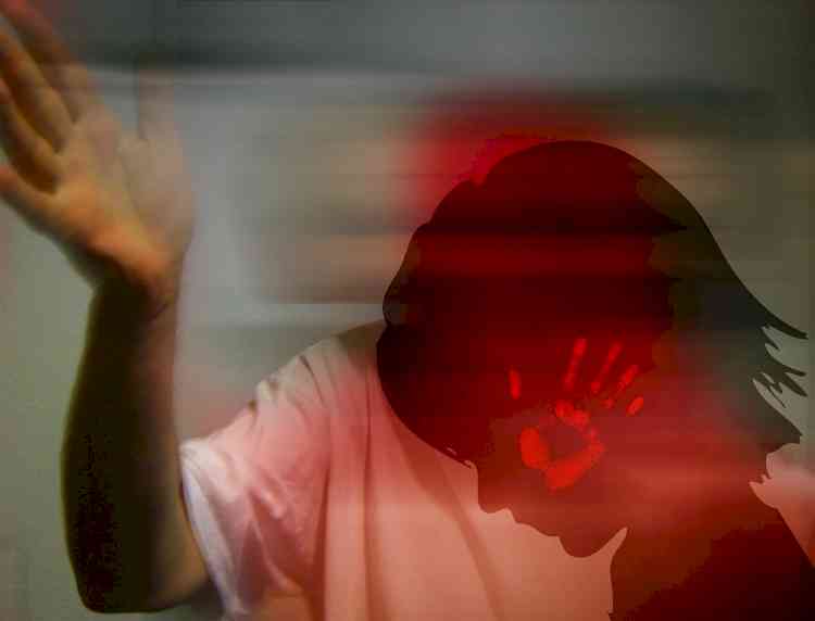 2,95,601 complaints under domestic violence act so far, Centre to SC