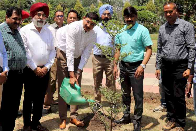 Evergreen plants plantation drive for herbal garden starts at IKG PTU