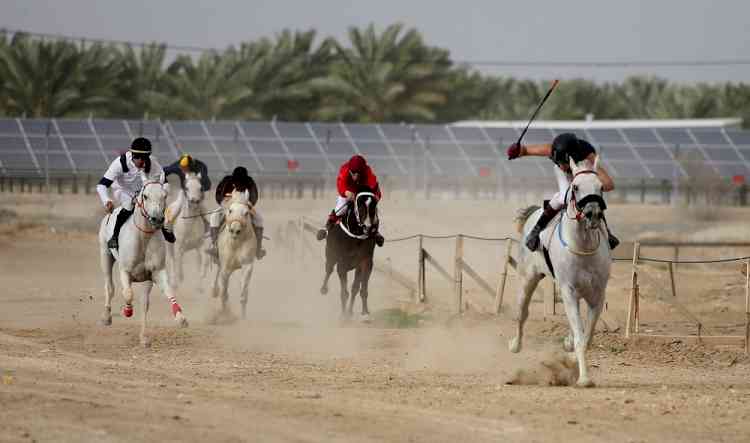 National Equestrian Championship: Raju Singh, Maj Anant Rajpurohit emerge victorious