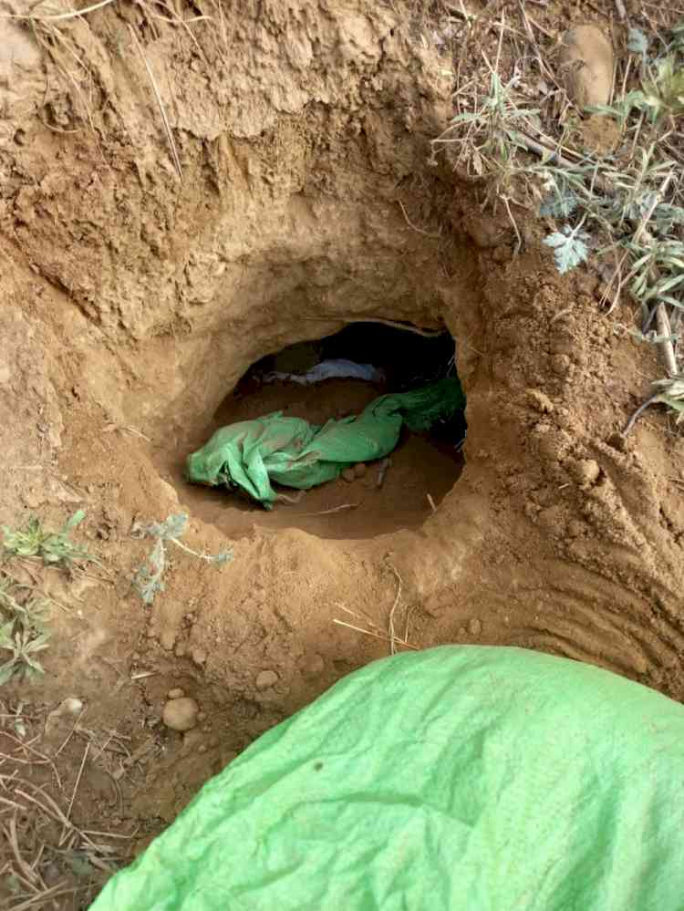 11 tunnels found by BSF at International Border in Jammu since 2012