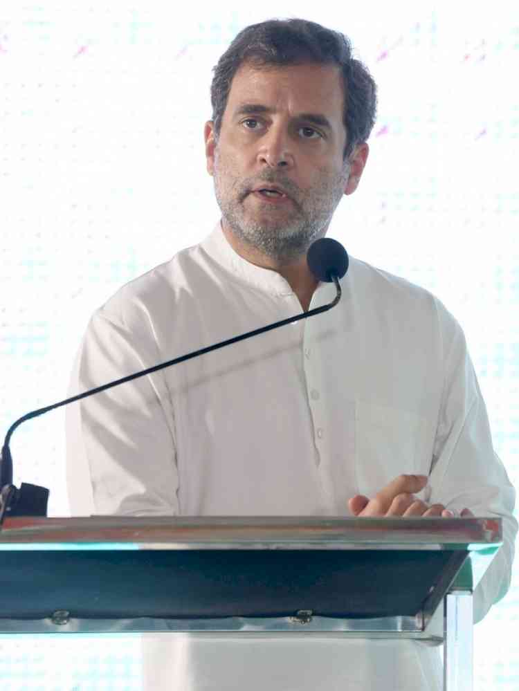 Those who fight for people will get tickets: Rahul