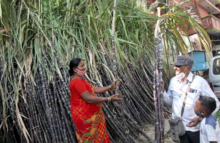 K'taka govt calls meeting on payment of Rs 2,500 cr dues to sugarcane farmers