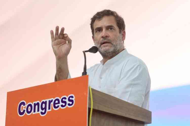 Seniority does not guarantee party ticket: Rahul Gandhi