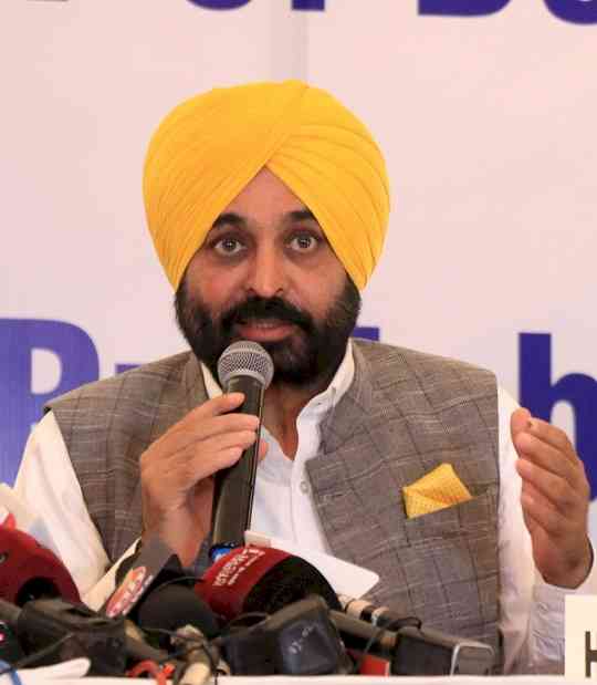 Punjab govt working to generate jobs, be patient, says Mann