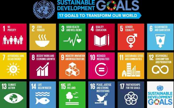 Universities should lead by example in sustainability and SDGs 