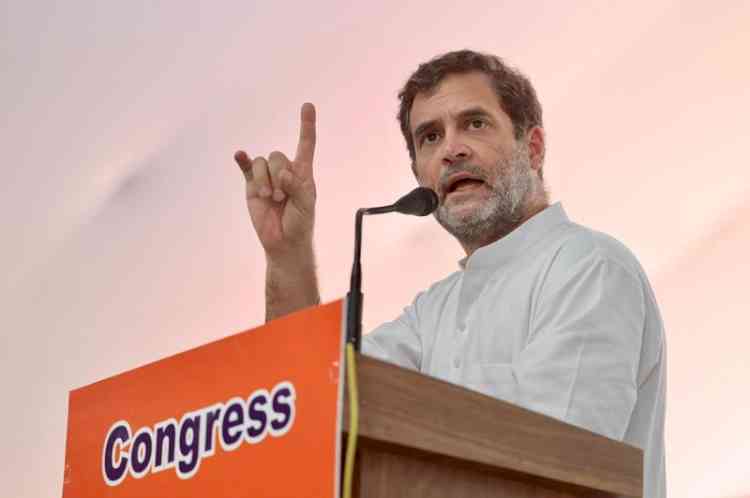 BJP only seeks to divide and suppress: Rahul Gandhi