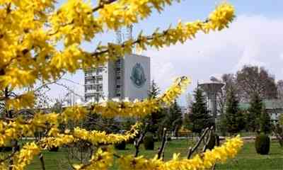 More 'surgical strikes' in offing in Kashmir University