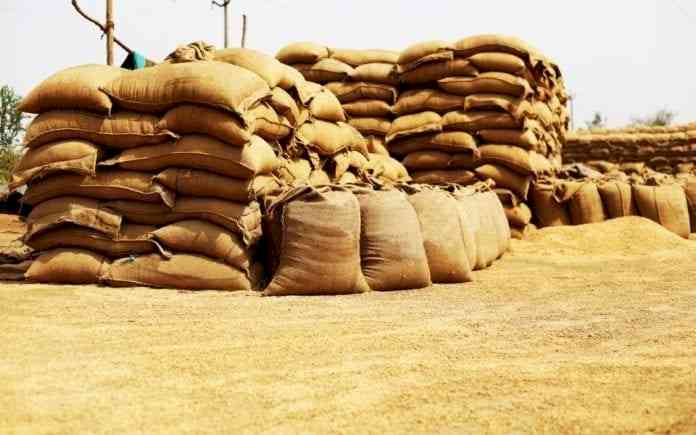 Wheat export ban: Transporters facing Rs 3 cr daily losses in Guj city