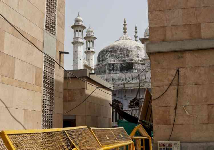 Sheshnag, Shringar Gauri-like structures inside Gyanvapi mosque, says Ajay Mishra's report