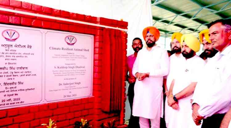 Livestock occupations can change face of Punjab: Kuldeep Singh Dhaliwal