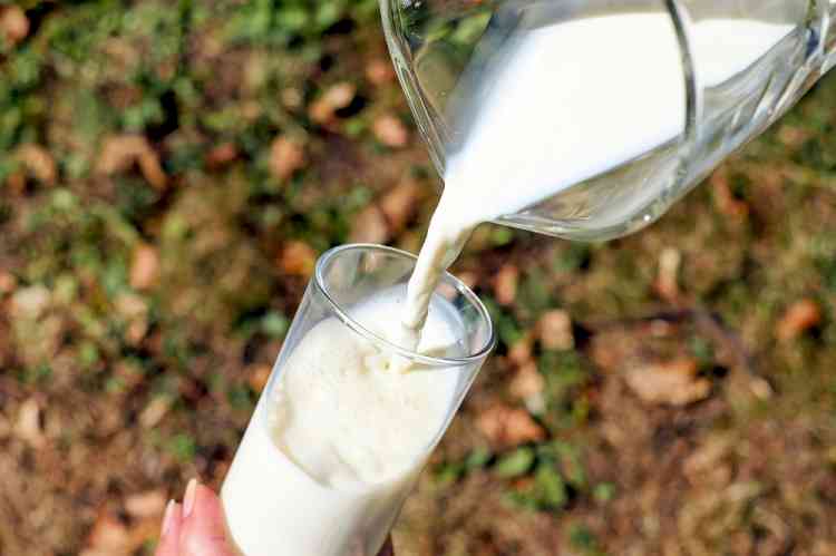 Verka milk to be costlier now