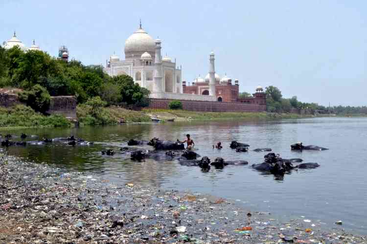 Has Agra lost the battle against pollution?