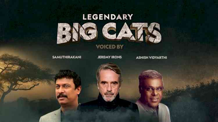 With Legendary Big Cats, I got an opportunity to bring a little bit of my own personality to an all-new series on Nat Geo Wild: Indian actor and director Samuthirakani 