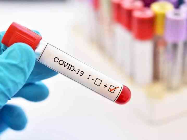 Delhi reports 442 new Covid cases, no death