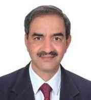 Himachal dam expert elected to global body