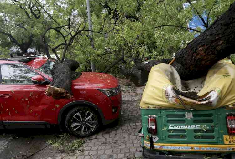 Squally winds, rains lash Delhi-NCR; cause traffic jams, uproot trees