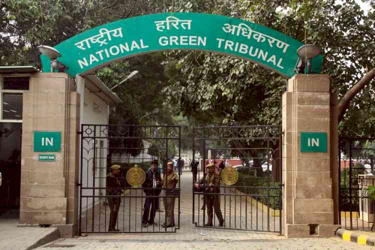 NGT seeks Gujarat's response on granting sand, stone leases sans DSR
