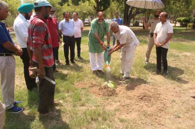 Plantation to commemorate World Environment Day