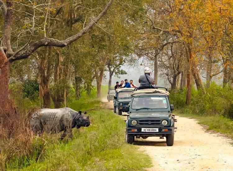 Vehicle speed limit restricted at Kaziranga National Park