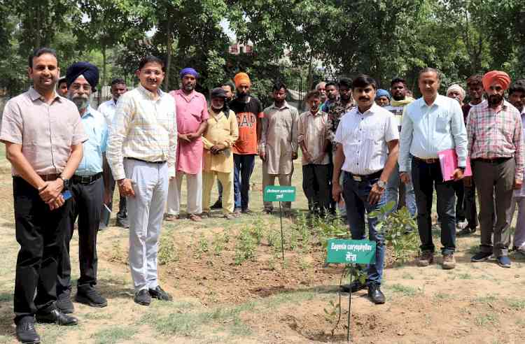 Herbal Medicine Garden inaugurated at IKG PTU