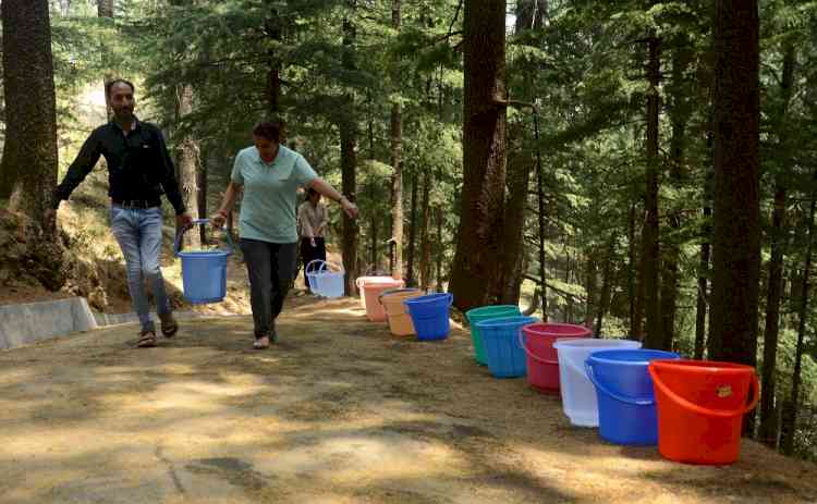 Shimla in a hot spot: Water woes wrack 'Queen of Hills'