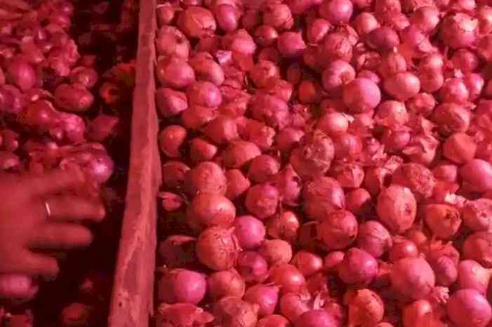 Onion farmers worried over a possible export ban as prices rise