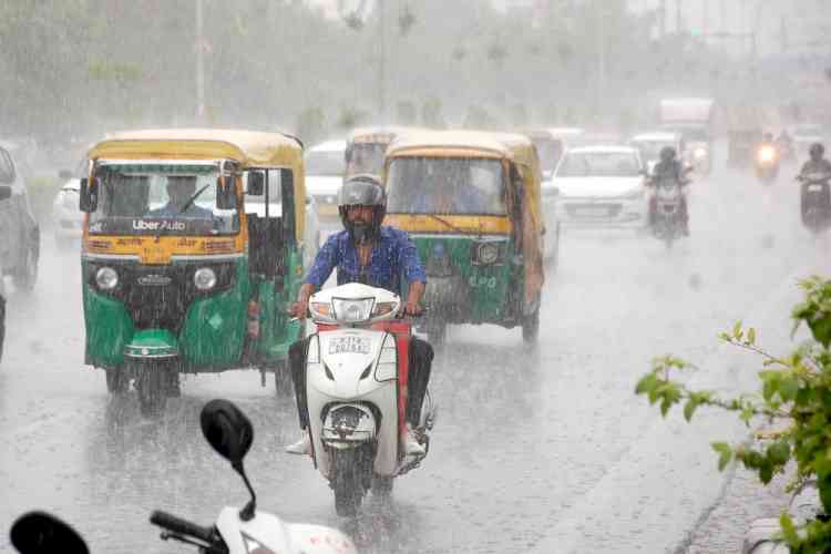 Heavy rainfall in isolated pockets of Rajasthan