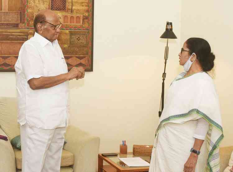 Mamata, Yechury meet Pawar to discuss candidate for President