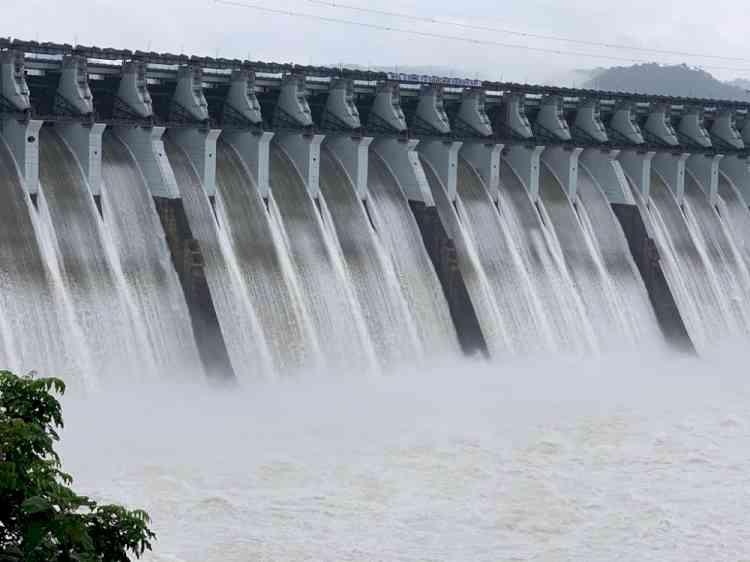 Only 10 states have set up committees for dam safety: Centre