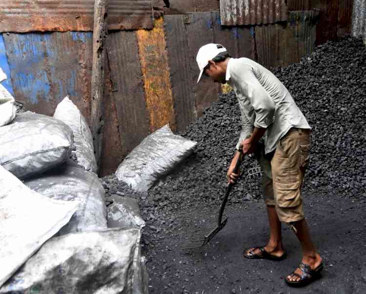 Domestic coal production up by 28%