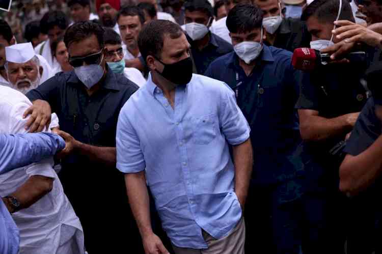 Rahul asks party workers not to celebrate his birthday