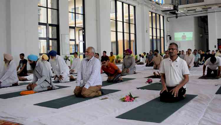 Central University of Punjab organised Mass Yoga Session to mark International  Day of Yoga- 2022