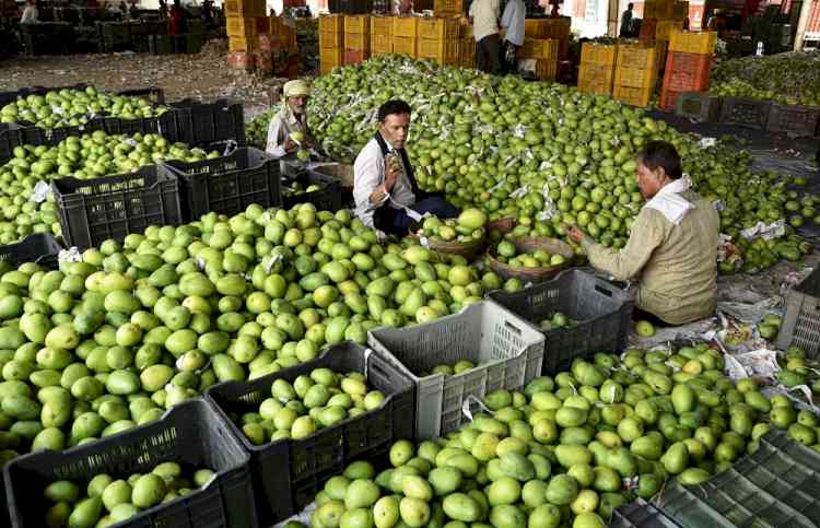 Need to monitor arsenic contamination in food trade: Experts