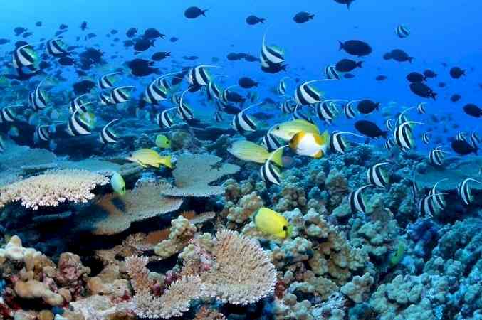 UNDP launches Ocean Promise for 100 coastal nations