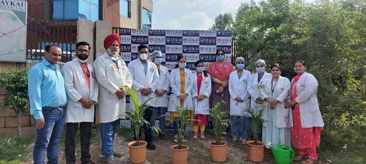 Aykai Hospital organised plantation drive on Doctors Day