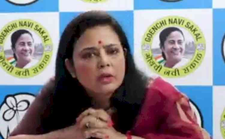 YouTuber arrest: Trinamool's Moitra advises politicians to ignore bad language