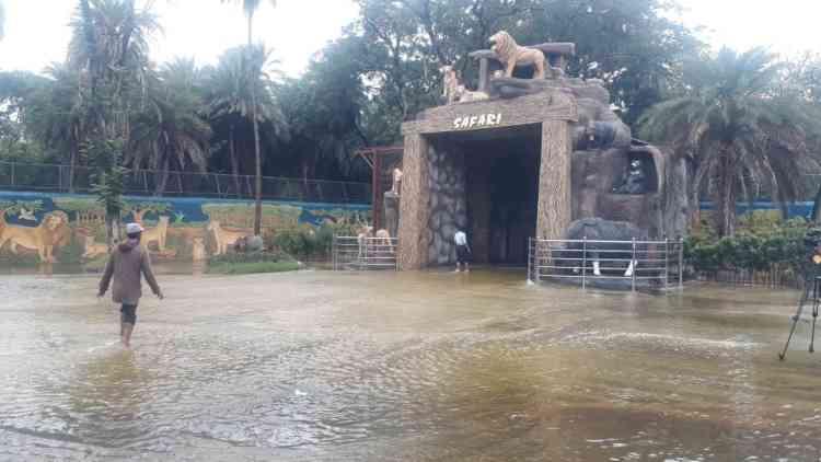 Safari Park at Hyderabad Zoo flooded