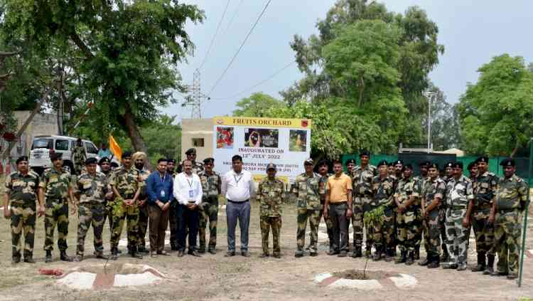 Tree plantation drive organized by BSF