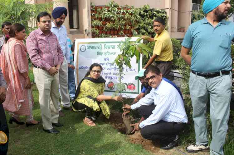 DC begins drive to plant fruit saplings, exhorts all to protect environment