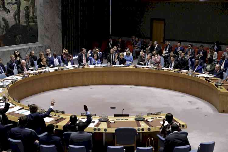 Pakistan blocks India's attempt for UNSC membership
