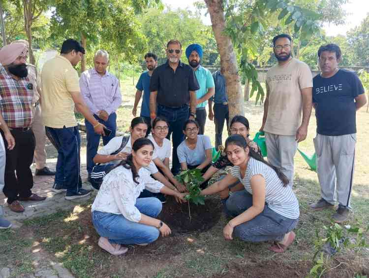 Horticulture Division of Panjab University organised plantation
