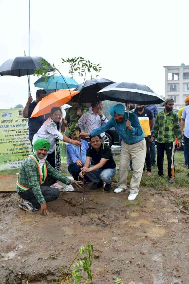 Tree plantation drive along National Highways kickstarts under Azadi Ka Amrit Mahotsav