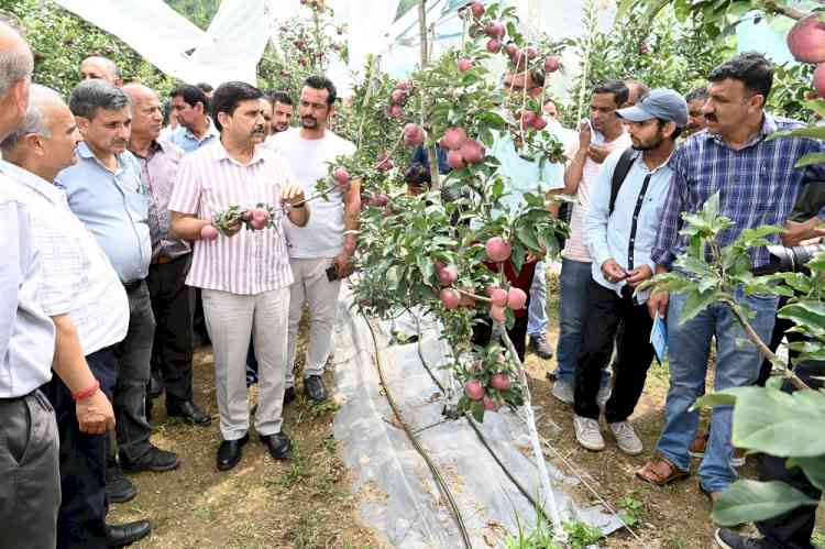 Farmers apprised about high-density apple plantation
