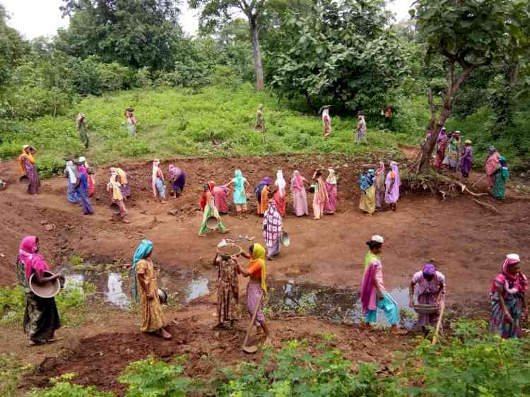 Gujarat school children given jobs under MGNREGA, govt cracks down on local officials