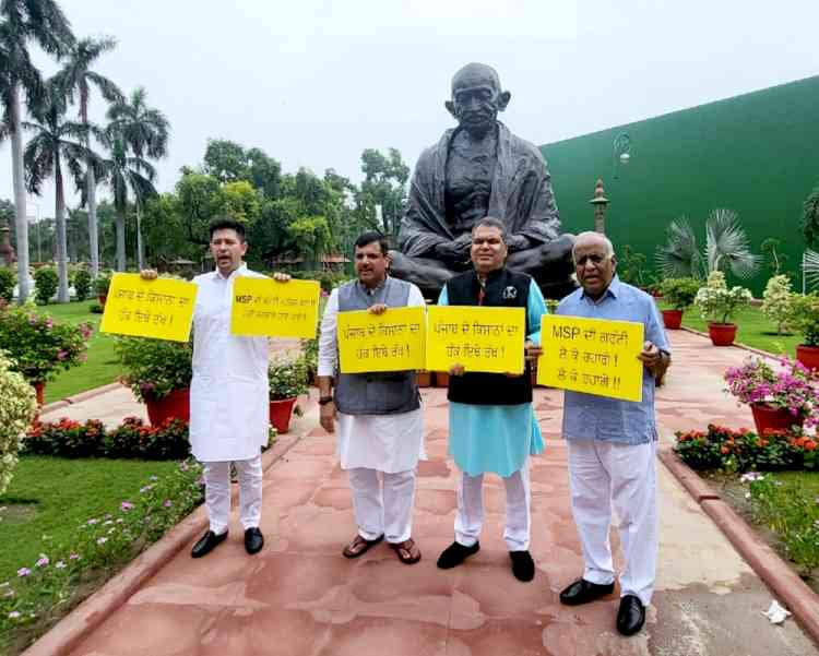 AAP MPs stage protest against inflation and GST rates on essential items