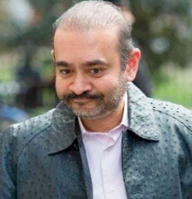 ED attaches property worth Rs 253 cr of Nirav Modi